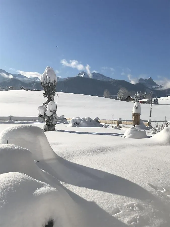 Haus Steinacher Hopferau Németország