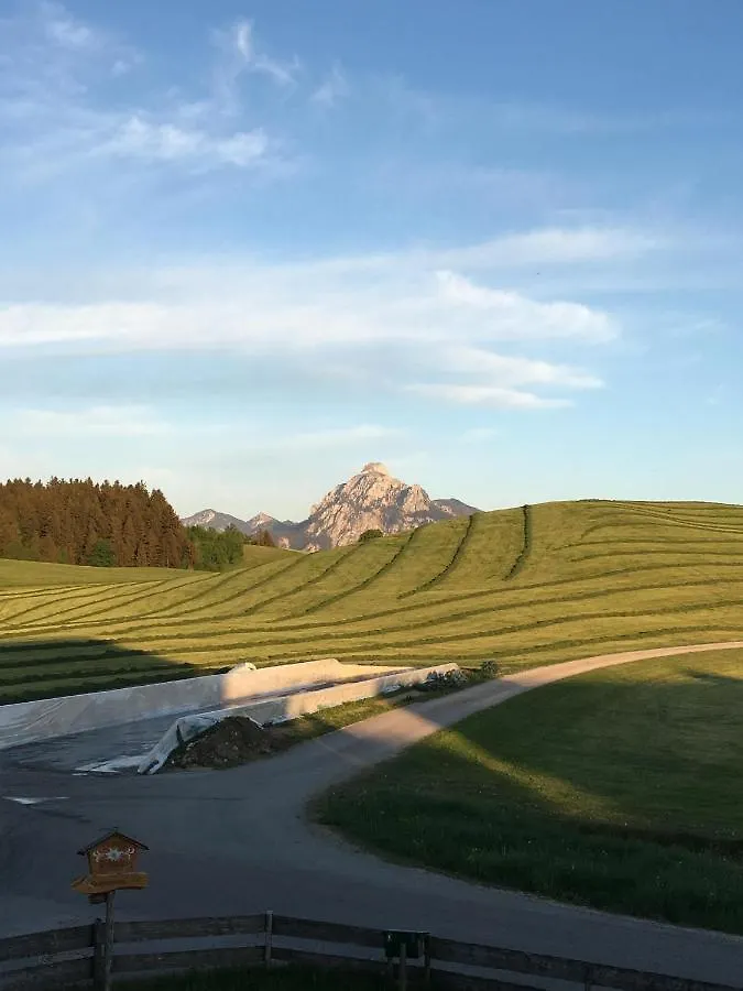 Haus Steinacher Hopferau 0*,  Németország